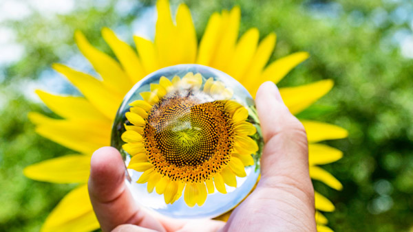 歡迎訪(fǎng)問(wèn)我們的官方網(wǎng)站